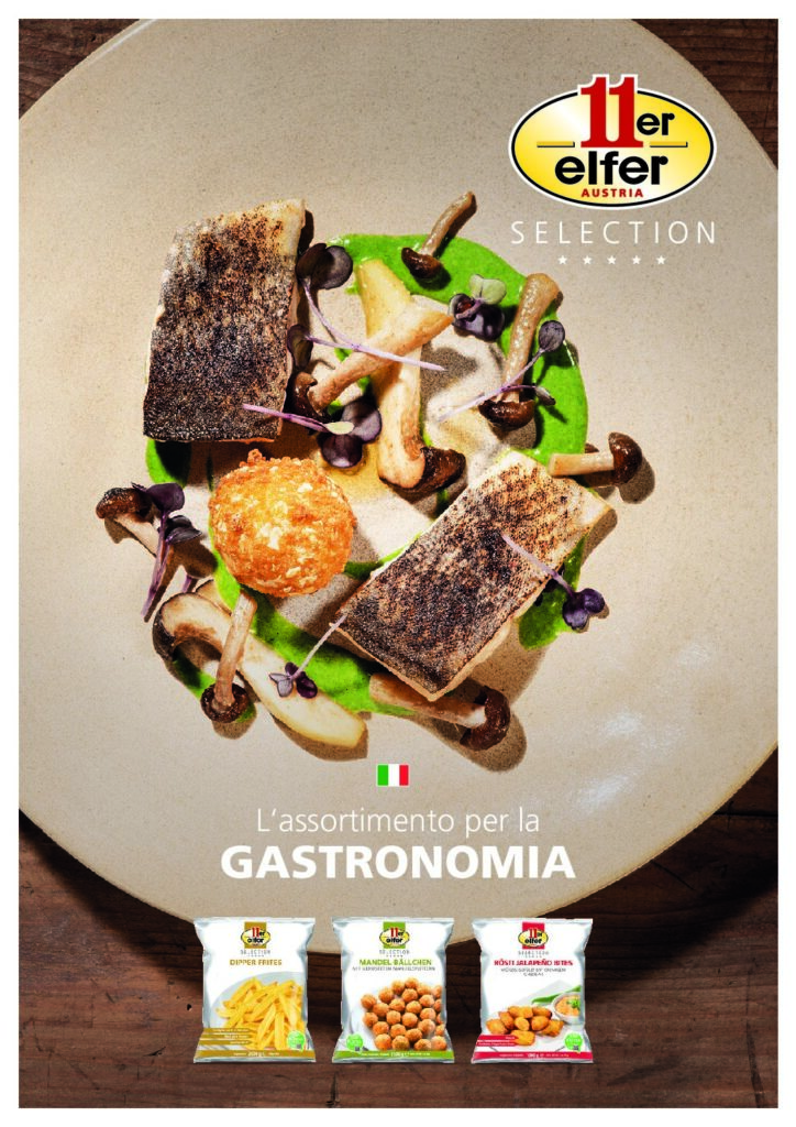 thumbnail of CATALOGO 11ER